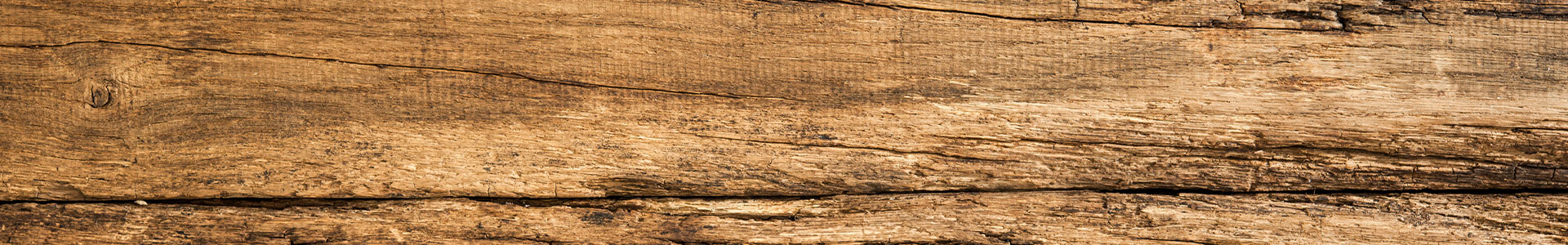 bg-holz.6.60a37b97d0c33